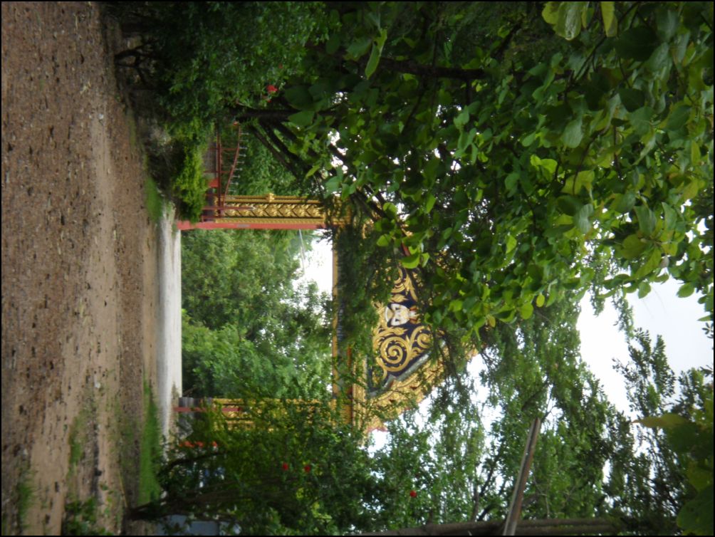 photo12 (9)